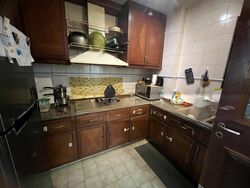 Dover Parkview (D5), Condominium #502526741